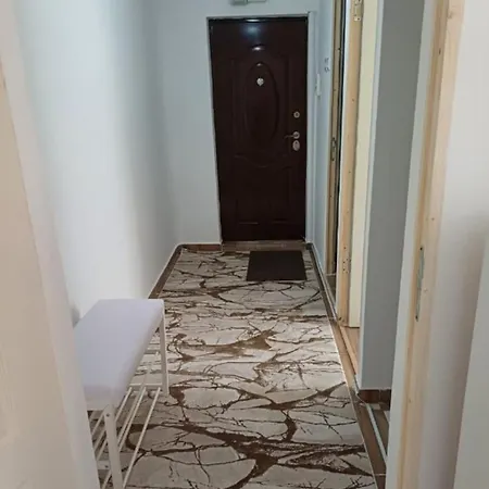Homestay Garsoniera Luminoasa